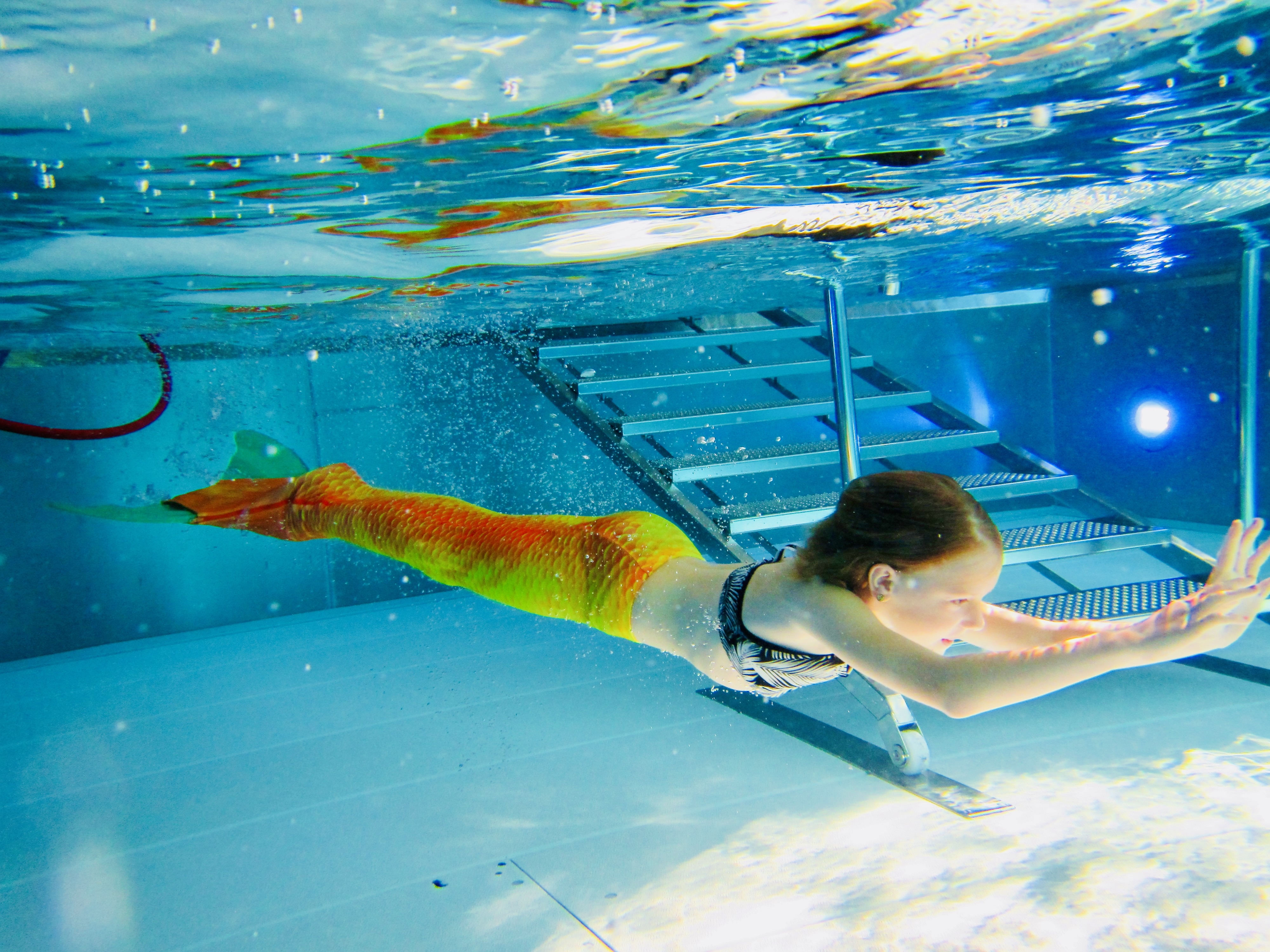 Franzis Schwimmschule - Bild 5